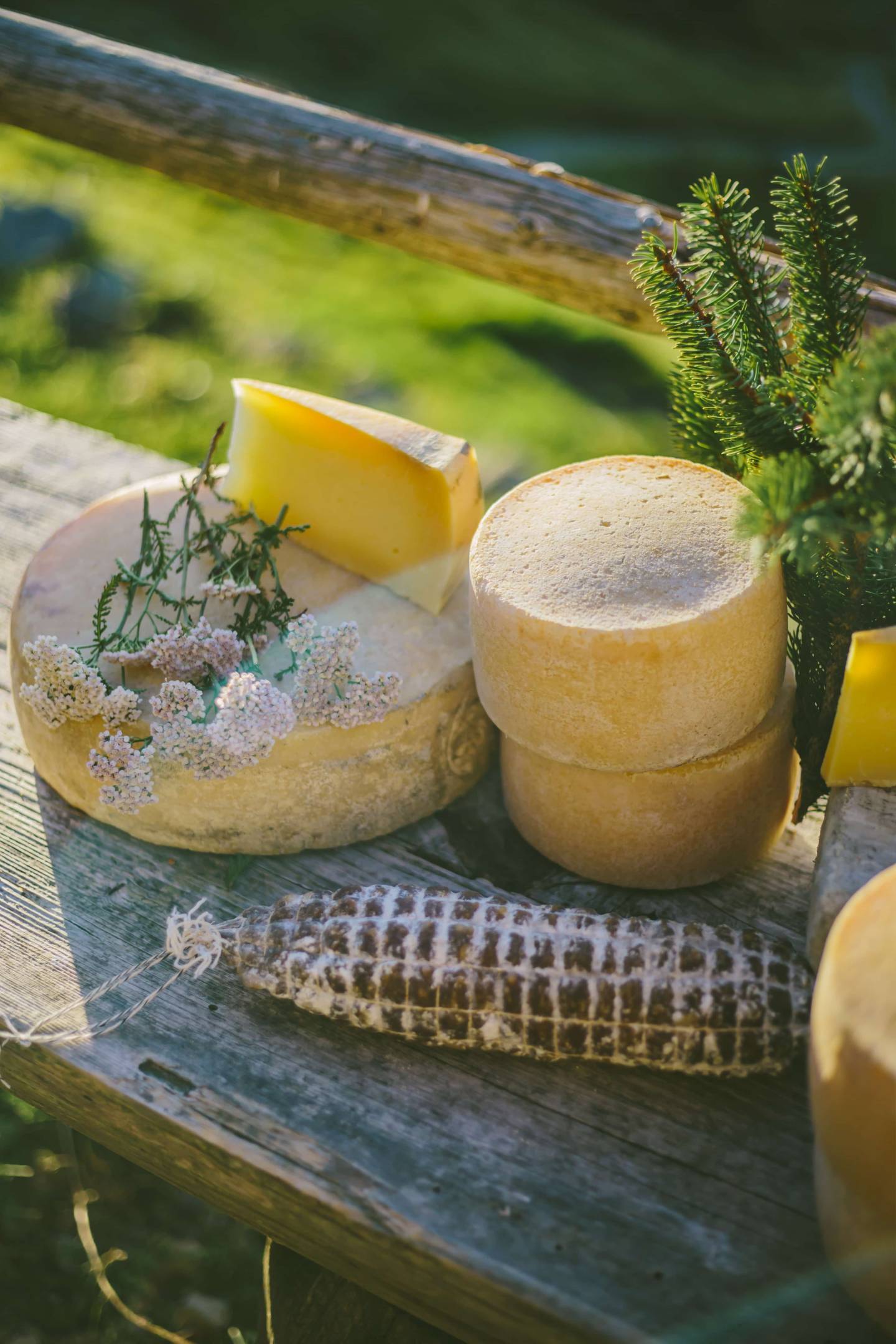 Cheese Tasting Online Masterclass: 24 Novembre